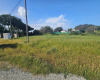 CASTILBLANCO DE LOS ARROYOS, 41230, ,Terreno o Parcela,Venta,1487