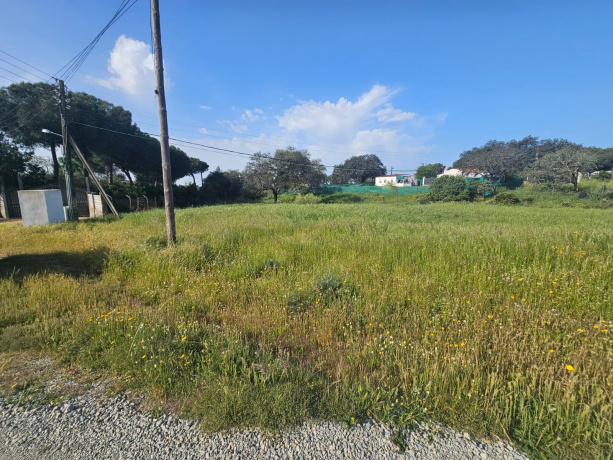 CASTILBLANCO DE LOS ARROYOS, 41230, ,Terreno o Parcela,Venta,1487