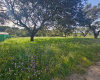 CASTILBLANCO DE LOS ARROYOS, 41230, ,Terreno o Parcela,Venta,1488