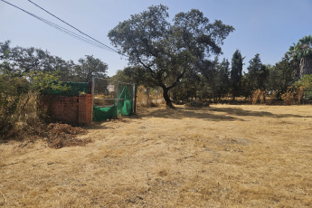 CASTILBLANCO DE LOS ARROYOS, 41230, ,Terreno o Parcela,Venta,1522