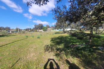 CASTILBLANCO DE LOS ARROYOS, 41230, ,Terreno o Parcela,Venta,1524