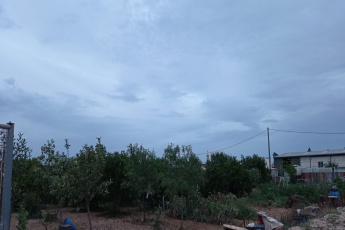 41980, ,Terreno o Parcela,Venta,1527