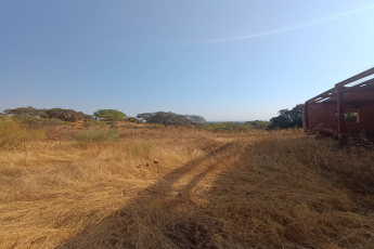CASTILBLANCO DE LOS ARROYOS, 41230, ,Terreno o Parcela,Venta,1532