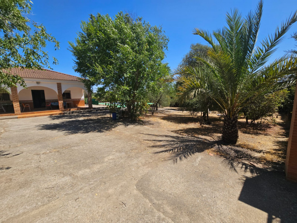 CASTILBLANCO DE LOS ARROYOS, 3 Habitaciones Habitaciones, ,1 BañoBathrooms,Terreno o Parcela,Venta,1533