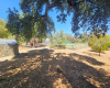 CASTILBLANCO DE LOS ARROYOS, 3 Habitaciones Habitaciones, ,1 BañoBathrooms,Terreno o Parcela,Venta,1533