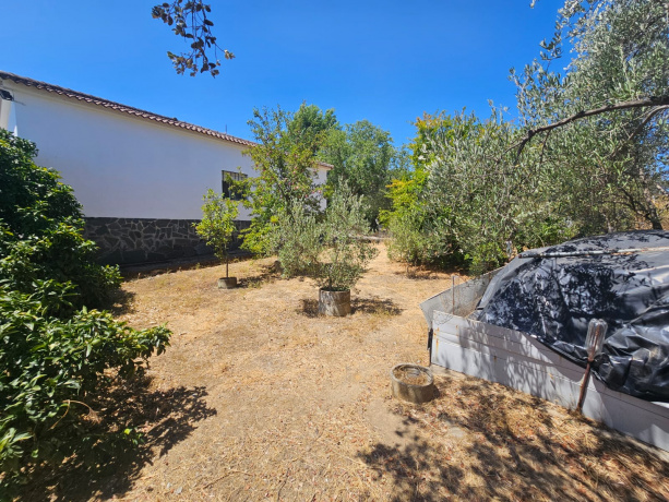CASTILBLANCO DE LOS ARROYOS, 3 Habitaciones Habitaciones, ,1 BañoBathrooms,Terreno o Parcela,Venta,1533