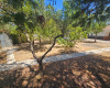 CASTILBLANCO DE LOS ARROYOS, 3 Habitaciones Habitaciones, ,1 BañoBathrooms,Terreno o Parcela,Venta,1533