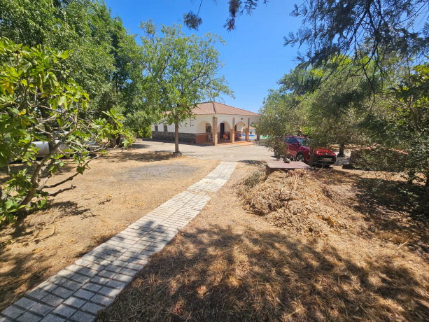 CASTILBLANCO DE LOS ARROYOS, 3 Habitaciones Habitaciones, ,1 BañoBathrooms,Terreno o Parcela,Venta,1533