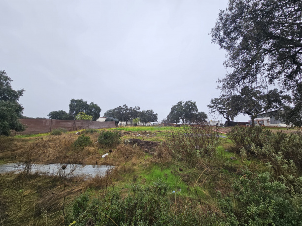 castilblanco de los arroyos, ,Terreno o Parcela,Venta,1546