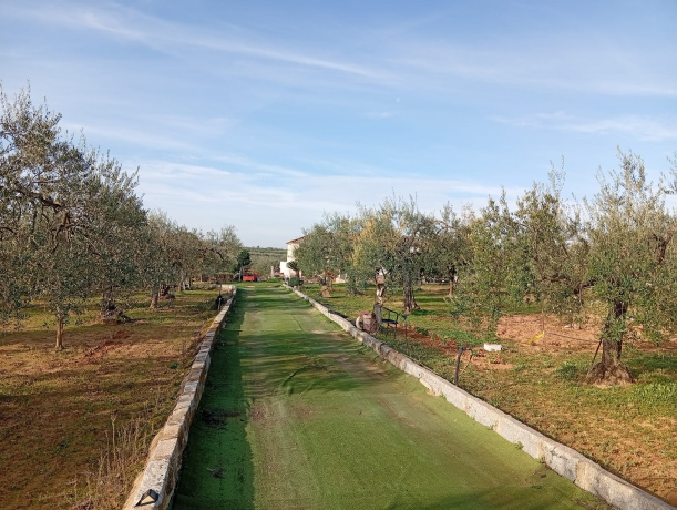 41808, 2 Habitaciones Habitaciones, ,2 BathroomsBathrooms,Terreno o Parcela,Venta,1558