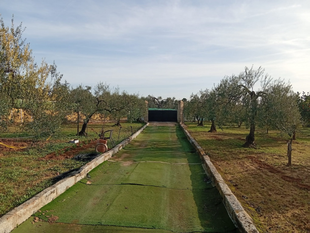 41808, 2 Habitaciones Habitaciones, ,2 BathroomsBathrooms,Terreno o Parcela,Venta,1558