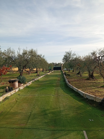 41808, 2 Habitaciones Habitaciones, ,2 BathroomsBathrooms,Terreno o Parcela,Venta,1558