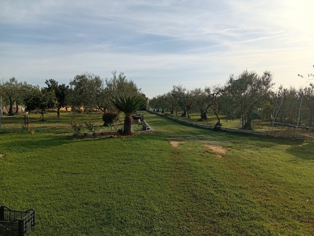 41808, 2 Habitaciones Habitaciones, ,2 BathroomsBathrooms,Terreno o Parcela,Venta,1558