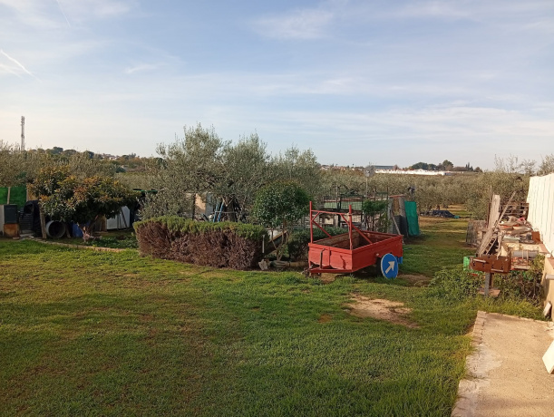 41808, 2 Habitaciones Habitaciones, ,2 BathroomsBathrooms,Terreno o Parcela,Venta,1558