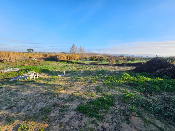 HINOJOS, ,Terreno o Parcela,Venta,1568