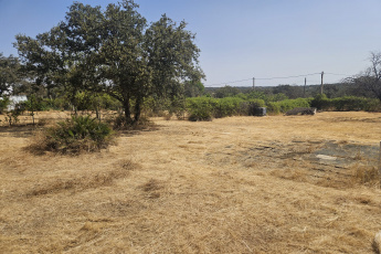 Terreno o Parcela,Venta,1586