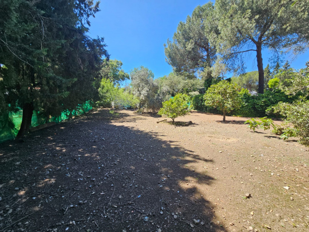 Terreno o Parcela,Venta,1598