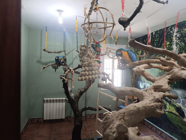 2 BathroomsBathrooms,Casa,Venta,1604