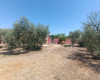 2 BathroomsBathrooms,Casa,Venta,1604