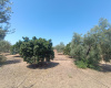 2 BathroomsBathrooms,Casa,Venta,1604